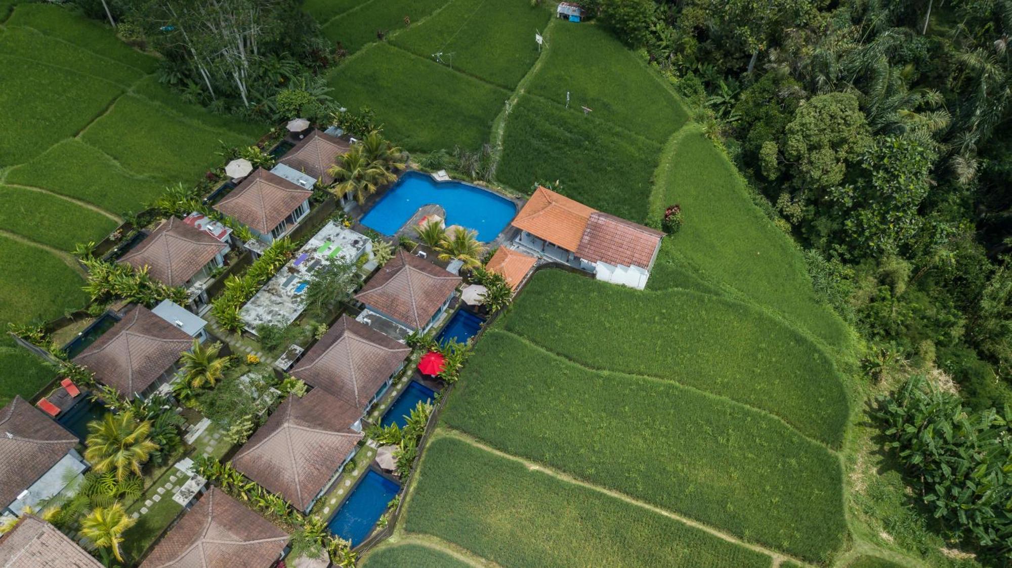Tanta Escape Hotel Tegallalang  Exterior photo